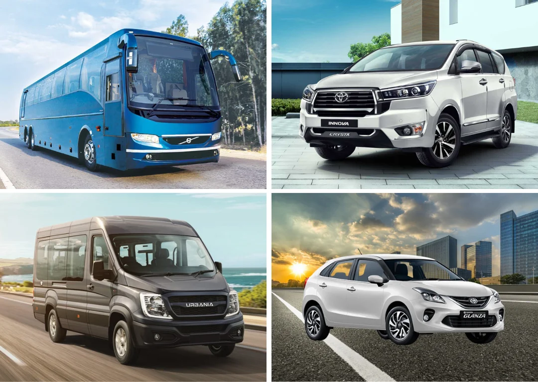 Road King Tour and Travels