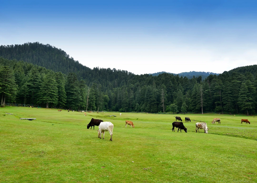 Dalhousie – Khajjiar Escape (3 Days)
